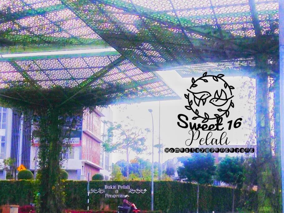 Sweet 16 Pelali Homestay Pengerang Exterior foto