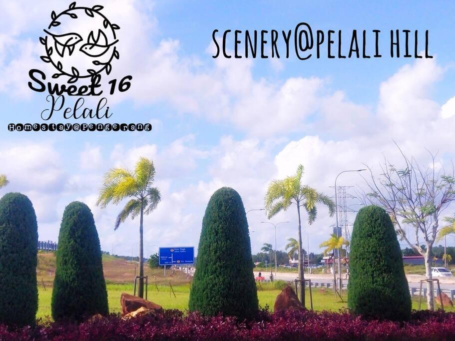 Sweet 16 Pelali Homestay Pengerang Exterior foto